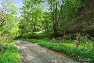 0 Fire Scald Rd, Green Mountain, NC 28740 - Photo 13