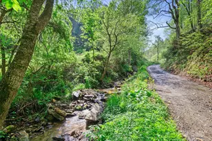 0 Fire Scald Rd, Green Mountain, NC 28740 - Photo 3