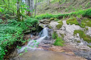 0 Fire Scald Rd, Green Mountain, NC 28740 - Photo 5