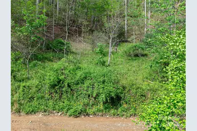0 Fire Scald Road, Green Mountain, NC 28740 - Photo 11