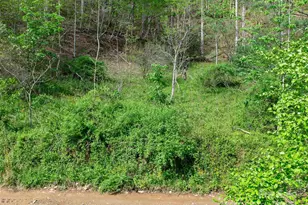 0 Fire Scald Rd, Green Mountain, NC 28740 - Photo 11