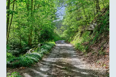 0 Fire Scald Road, Green Mountain, NC 28740 - Photo 9