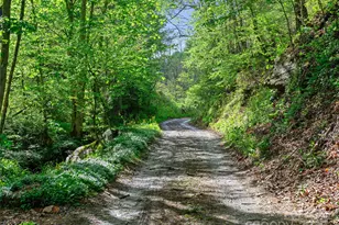 0 Fire Scald Rd, Green Mountain, NC 28740 - Photo 9