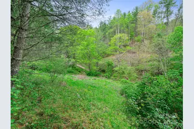 0 Fire Scald Road, Green Mountain, NC 28740 - Photo 15