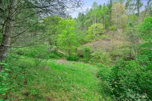 0 Fire Scald Rd, Green Mountain, NC 28740 - Photo 15