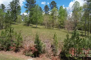 2109 Inlt Shr Rd NE, Connelly Springs, NC 28612 - Photo 29