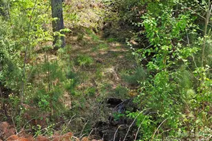 2109 Inlt Shr Rd NE, Connelly Springs, NC 28612 - Photo 31