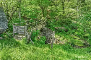 315 Morgan Branch Rd, Leicester, NC 28748 - Photo 3