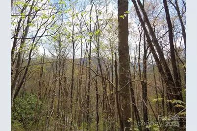 00 Bent Tree Road, Maggie Valley, NC 28751 - Photo 15