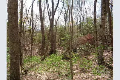 00 Bent Tree Road, Maggie Valley, NC 28751 - Photo 3