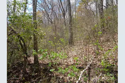 00 Bent Tree Road, Maggie Valley, NC 28751 - Photo 21