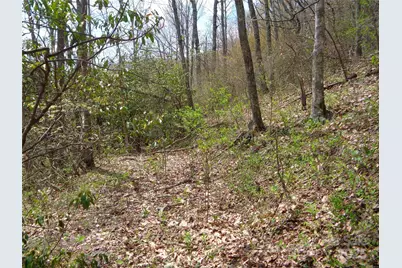 00 Bent Tree Road, Maggie Valley, NC 28751 - Photo 13