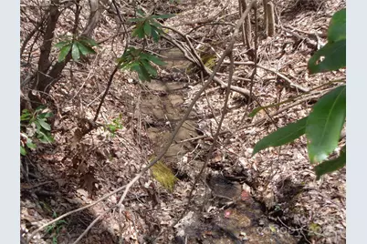 00 Bent Tree Road, Maggie Valley, NC 28751 - Photo 11