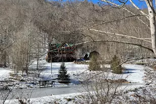 1104 Long Br Rd, Mars Hill, NC 28754 - Photo 5