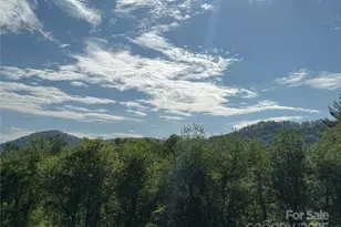 54 McIntosh Ln, Candler, NC 28715 - Photo 3