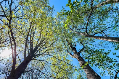 36 & 50 Catawba Avenue, Marion, NC 28752 - Photo 13