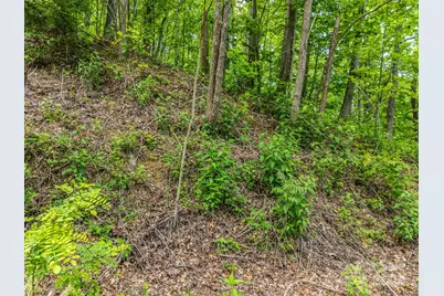 0 Ragans Pointe #31, Columbus, NC 28722 - Photo 3