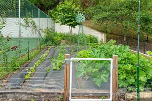 69 Forest Rd, Asheville, NC 28803 - Photo 43