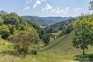 0 Clark Rd, Clyde, NC 28721 - Photo 1