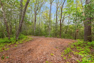 3539 West Club Boulevard, Lake Toxaway, NC 28747 - Photo 17