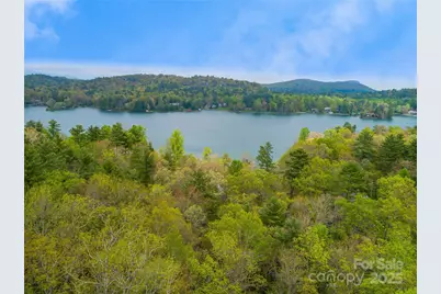 3539 West Club Boulevard, Lake Toxaway, NC 28747 - Photo 3
