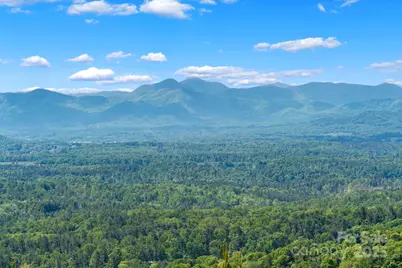 117 Distant View Drive, Asheville, NC 28803 - Photo 7