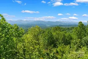 117 Distant View Dr, Asheville, NC 28803 - Photo 27