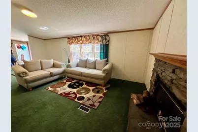 343 Daytona Lane, Saluda, NC 28773 - Photo 11