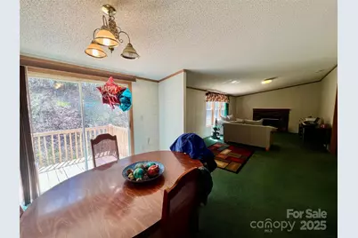 343 Daytona Lane, Saluda, NC 28773 - Photo 13