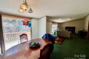 343 Daytona Ln, Saluda, NC 28773 - Photo 13