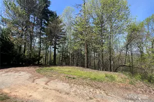 343 Daytona Ln, Saluda, NC 28773 - Photo 25