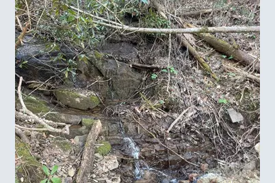 930 Copperhead Cove, Sylva, NC 28779 - Photo 45