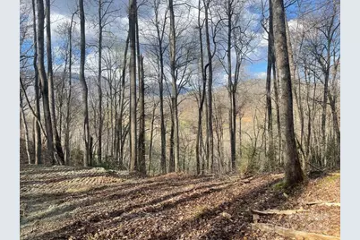 930 Copperhead Cove, Sylva, NC 28779 - Photo 43