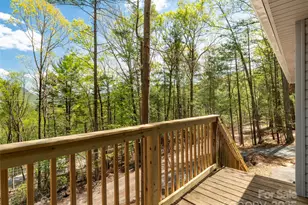 66 Avondale Heights Rd, Asheville, NC 28803 - Photo 11