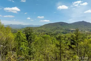 66 Avondale Heights Rd, Asheville, NC 28803 - Photo 23