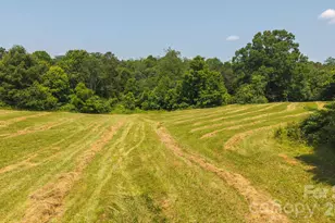 1040 Nc 90 Hwy W, Taylorsville, NC 20681 - Photo 9