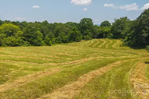 1040 Nc 90 Hwy W, Taylorsville, NC 20681 - Photo 11