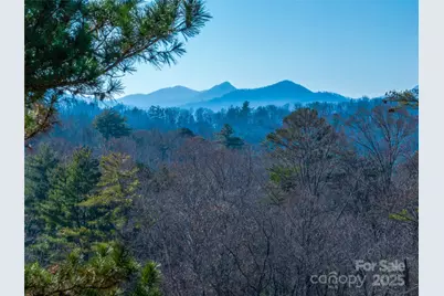 300 Baird Cove Road, Asheville, NC 28804 - Photo 9