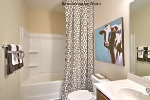 249 Giant Oak Ave, Statesville, NC 28677 - Photo 17