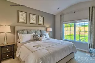 249 Giant Oak Ave, Statesville, NC 28677 - Photo 11