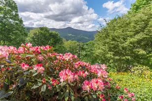 806 Twin Brook Dr, Waynesville, NC 28785 - Photo 45