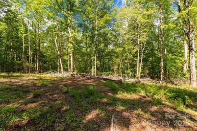 5212 Star Magnolia Court, Clover, SC 29710 - Photo 3