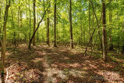 5212 Star Magnolia Court, Clover, SC 29710 - Photo 7