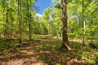 5212 Star Magnolia Court, Clover, SC 29710 - Photo 1