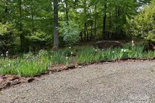 137 Amys Ridge Rd, Lake Lure, NC 28746 - Photo 11