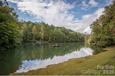 132 Egret Road, Lake Lure, NC 28746 - Photo 47