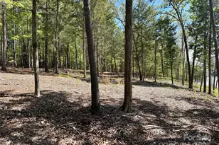 4095 Kingfisher Dr, York, SC 29745 - Photo 39