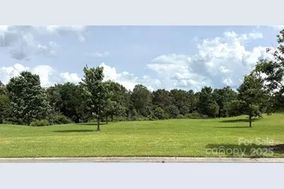 31470 Royal Tern Lane, Indian Land, SC 29707 - Photo 7