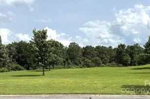 31470 Royal Tern Ln, Indian Land, SC 29707 - Photo 7