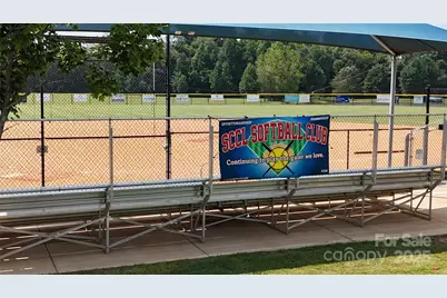 31470 Royal Tern Lane, Indian Land, SC 29707 - Photo 43